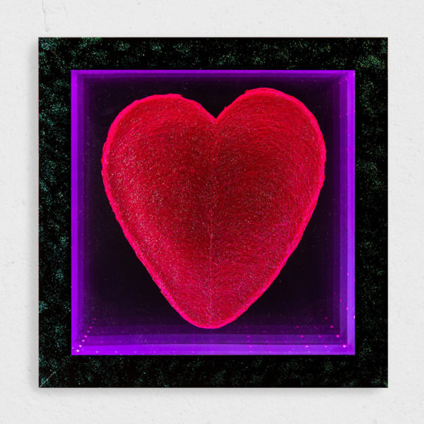 rote Herz beleuchtet in schwarze rahmen mit violet licht