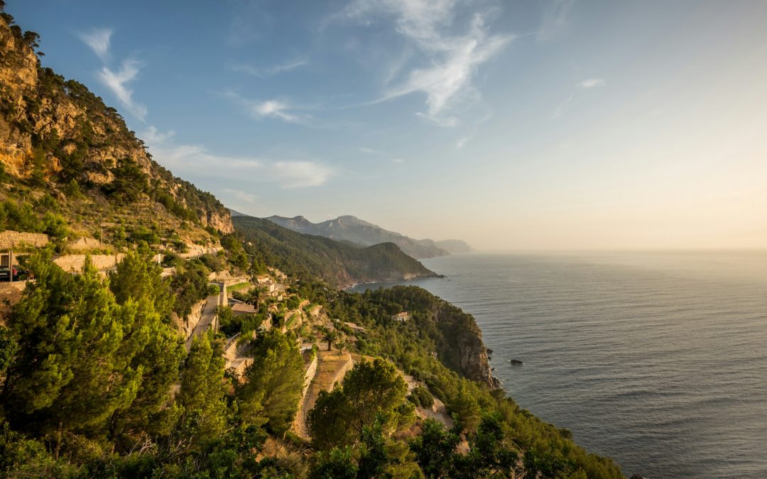 Mallorca landscape